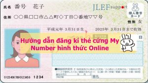 Hướng dẫn cách đăng ký làm thẻ My Number online tại Nhật